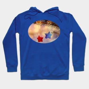 snowstars Hoodie